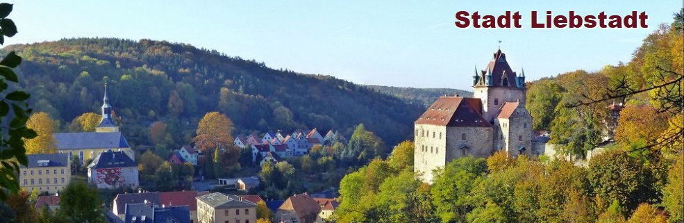 Schloss Kuckuckstein